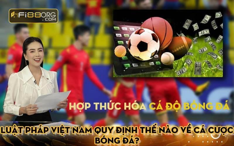 Luật pháp Việt Nam quy định thế nào về cá cược bóng đá?