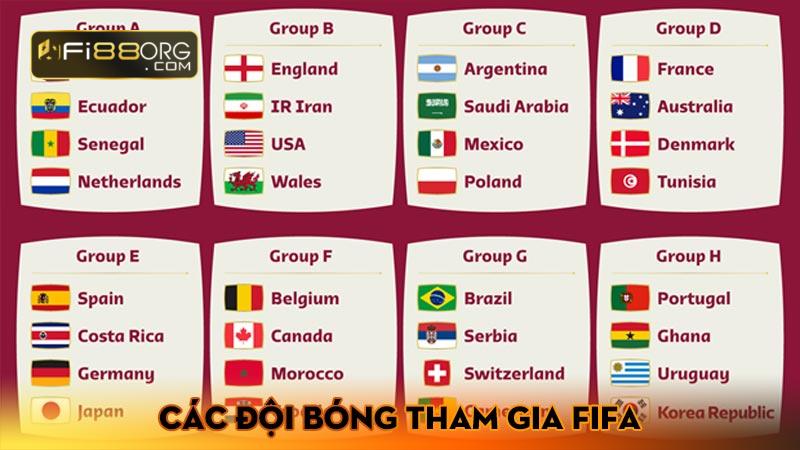 Các đội bóng tham gia FIFA